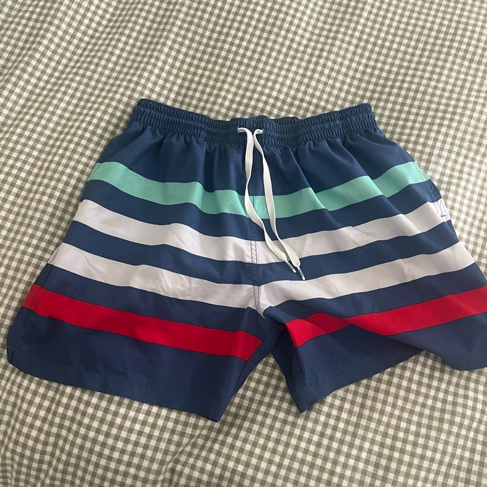 Men’s Chubbies Striped Swim Trunks
